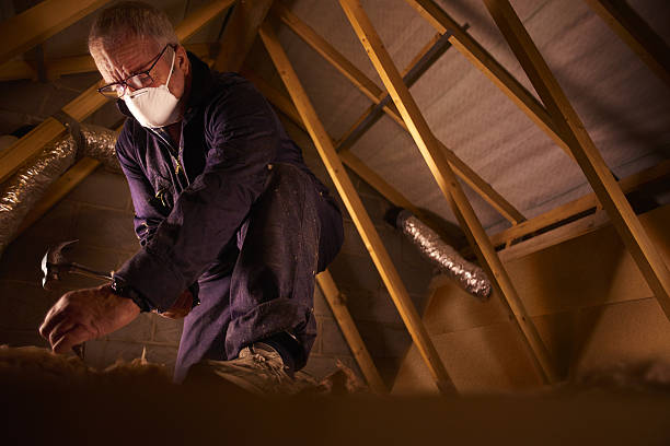 Best Wall Insulation Contractor  in Wolf Creek, UT