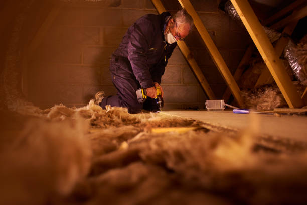 Best Residential Insulation Services  in Wolf Creek, UT